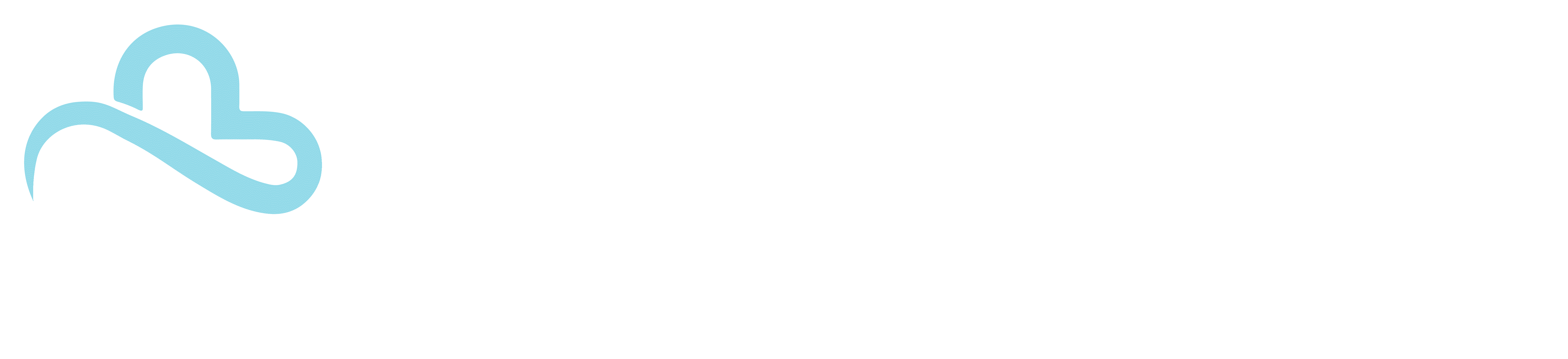 Primecare Logo